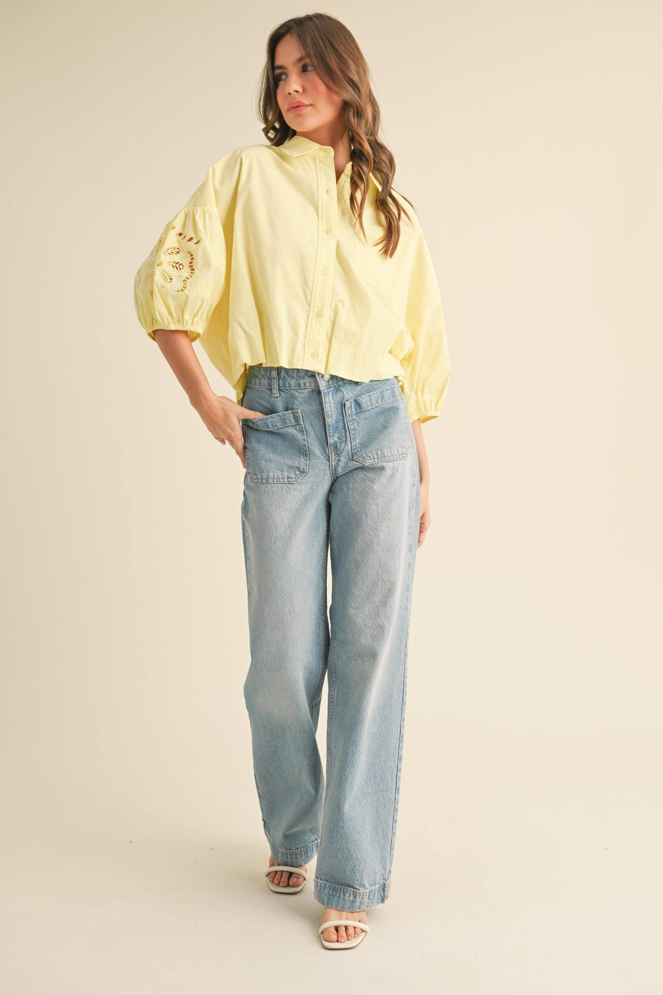 Embroidered Bubble Sleeve Blouse -