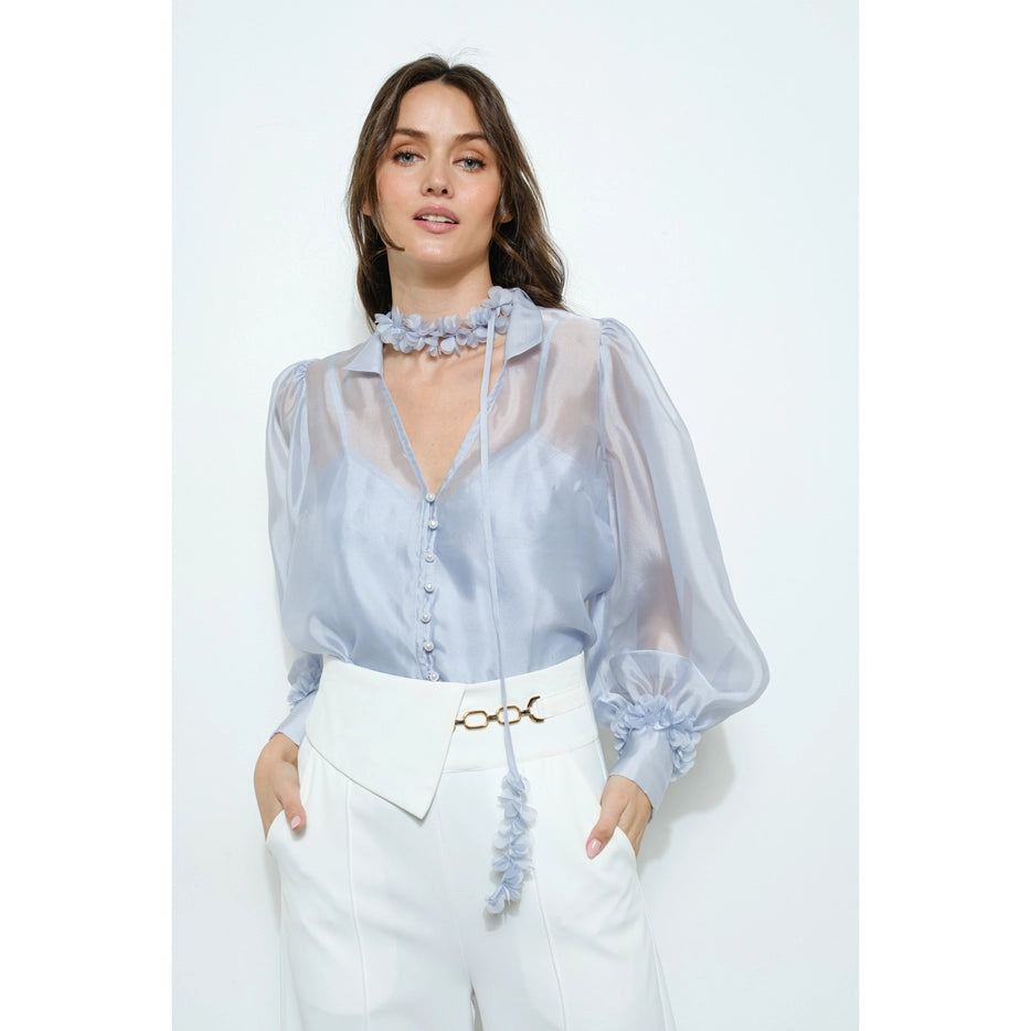 Cathie Sheer Long Sleeves Button-Up Blouse