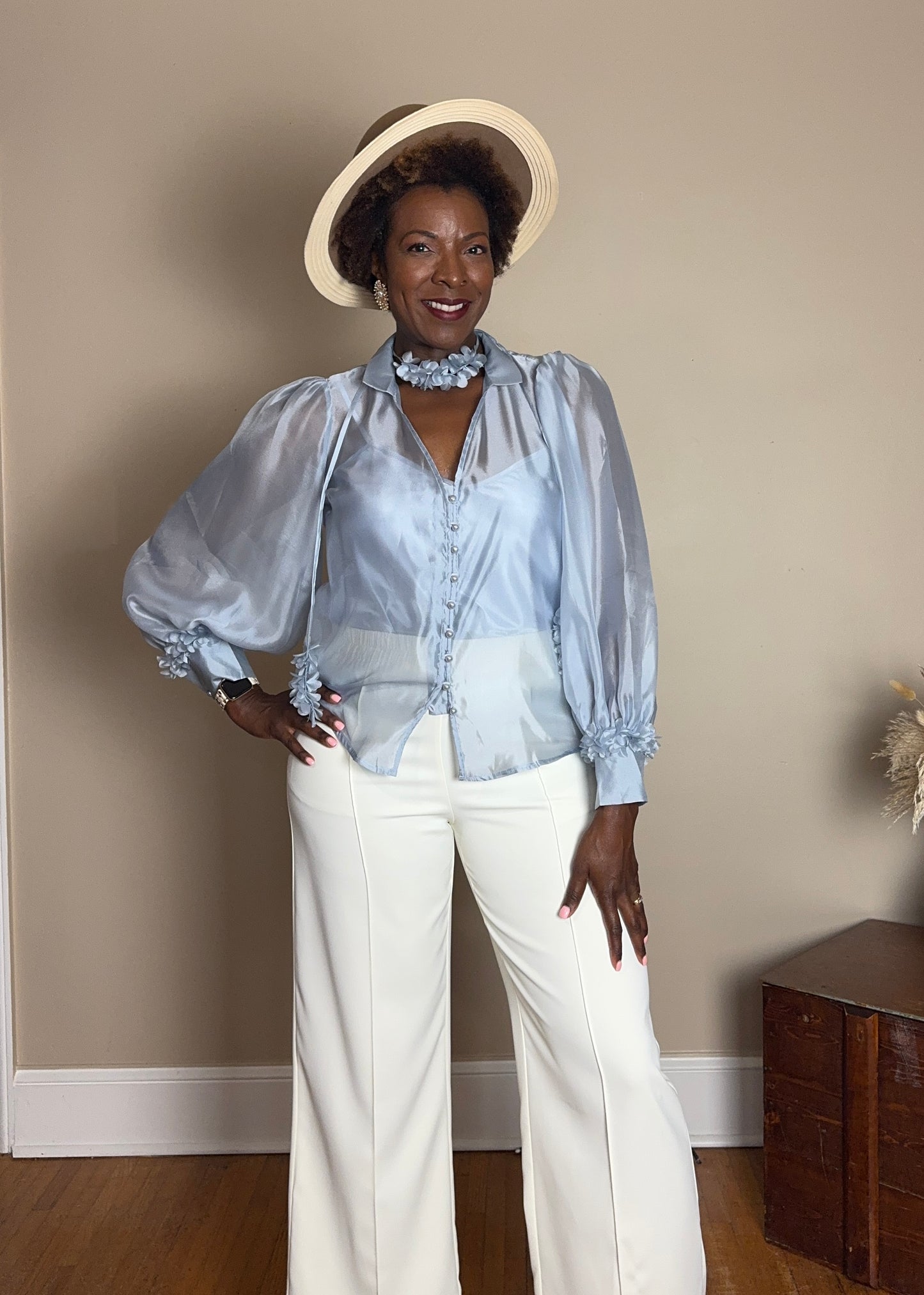 Cathie Sheer Long Sleeves Button-Up Blouse