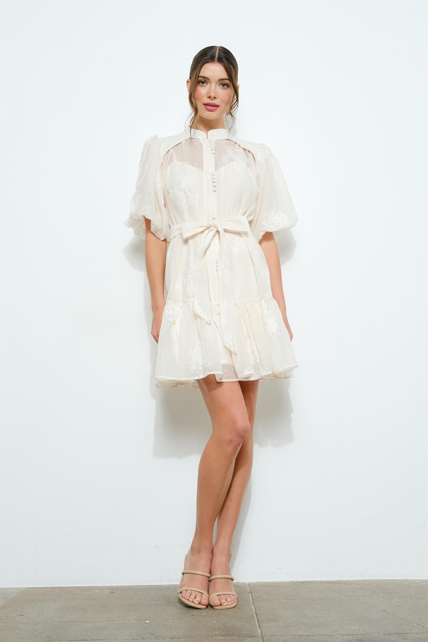 Briana Puff Sleeve Mini Dress