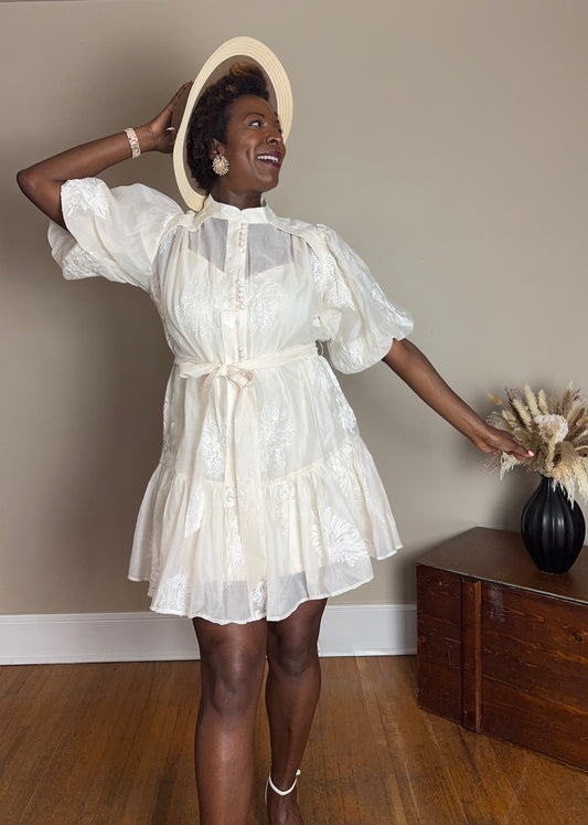 Briana Puff Sleeve Mini Dress