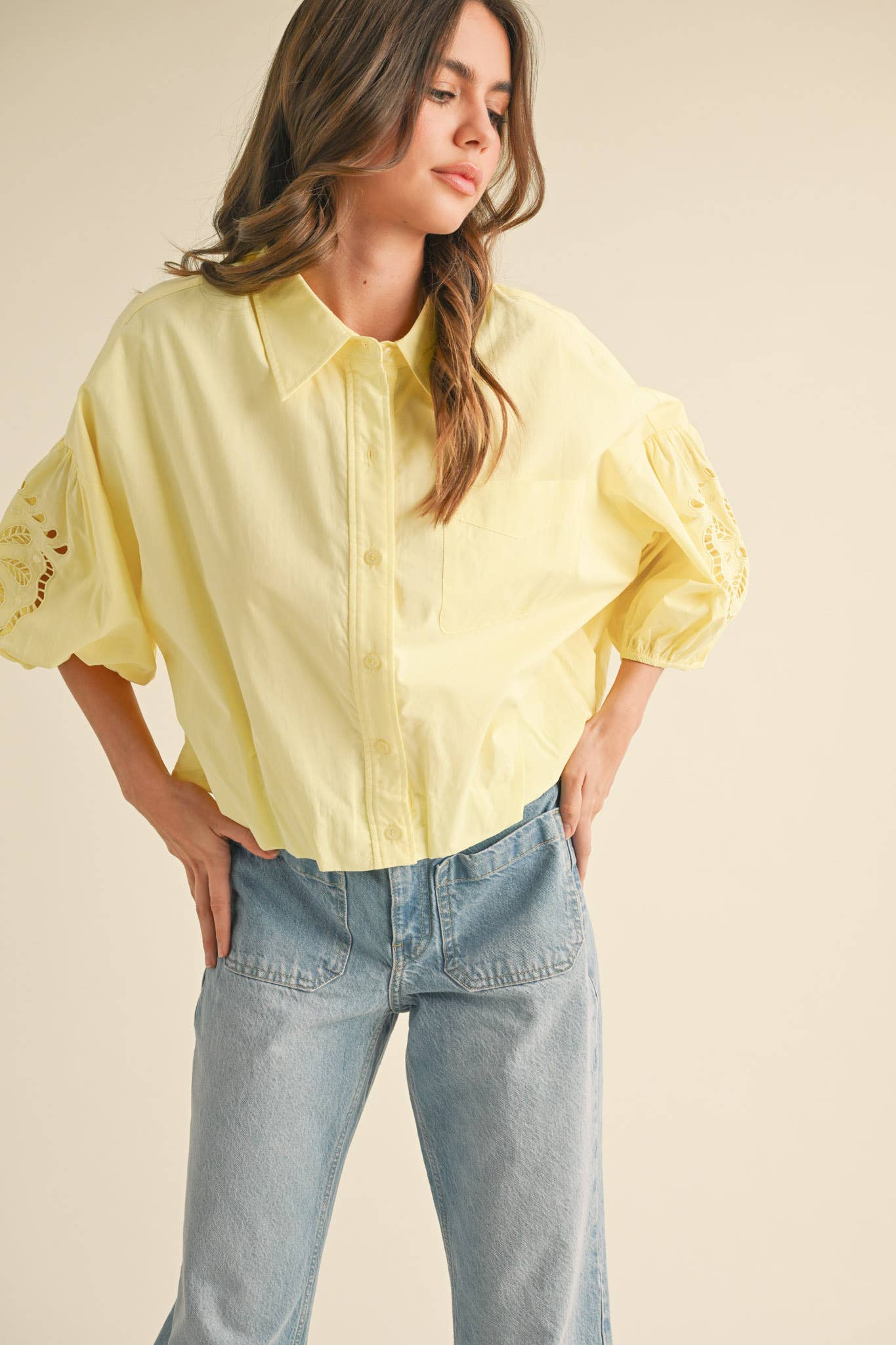 Embroidered Bubble Sleeve Blouse -