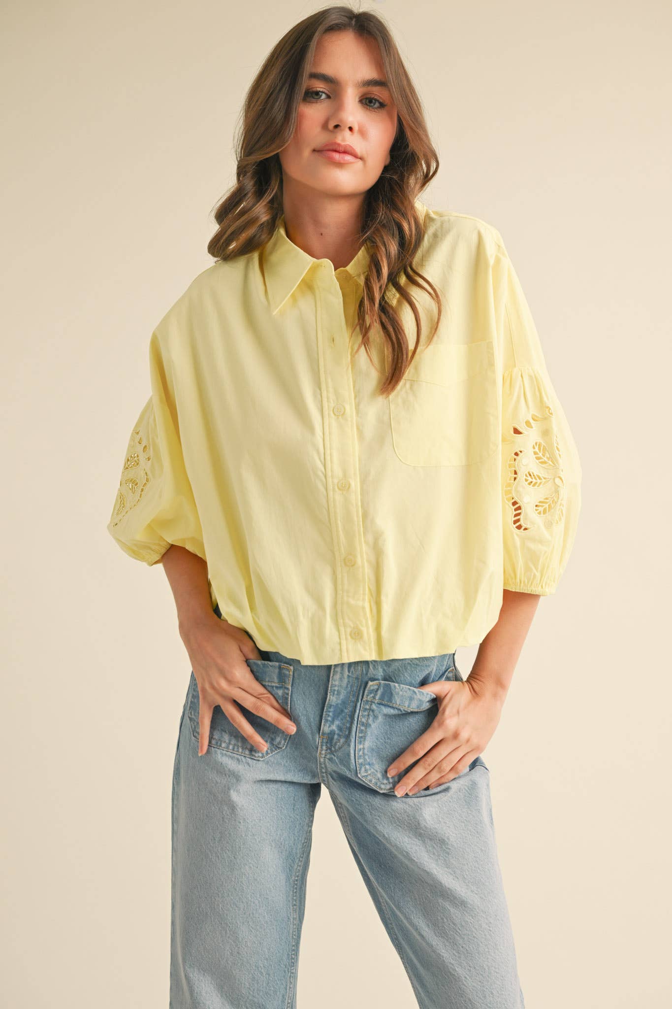 Embroidered Bubble Sleeve Blouse -