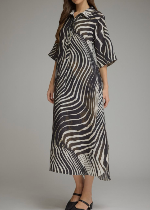 women wearing animal print midi dress
