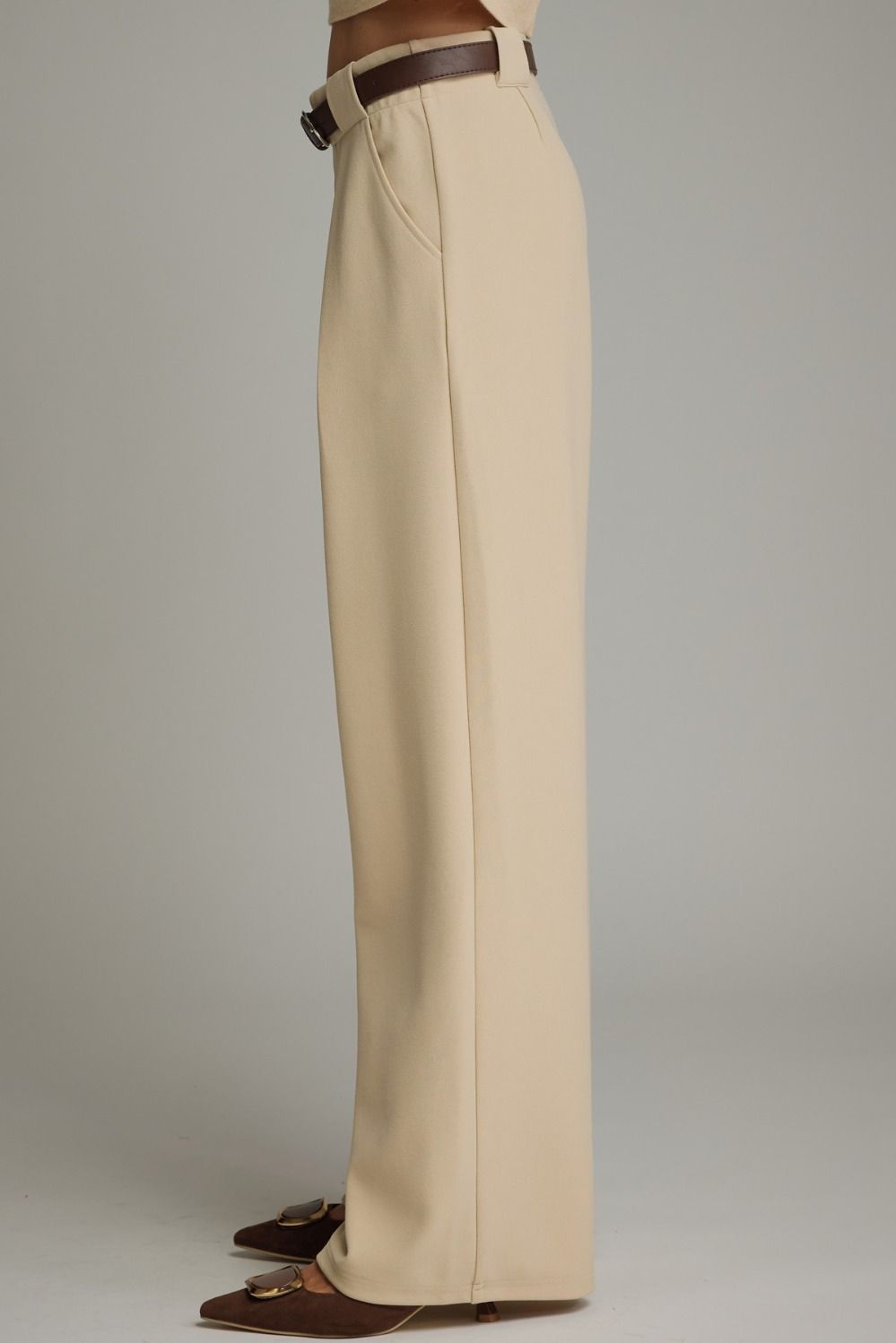 Pleated Wide Leg Tailored Pants