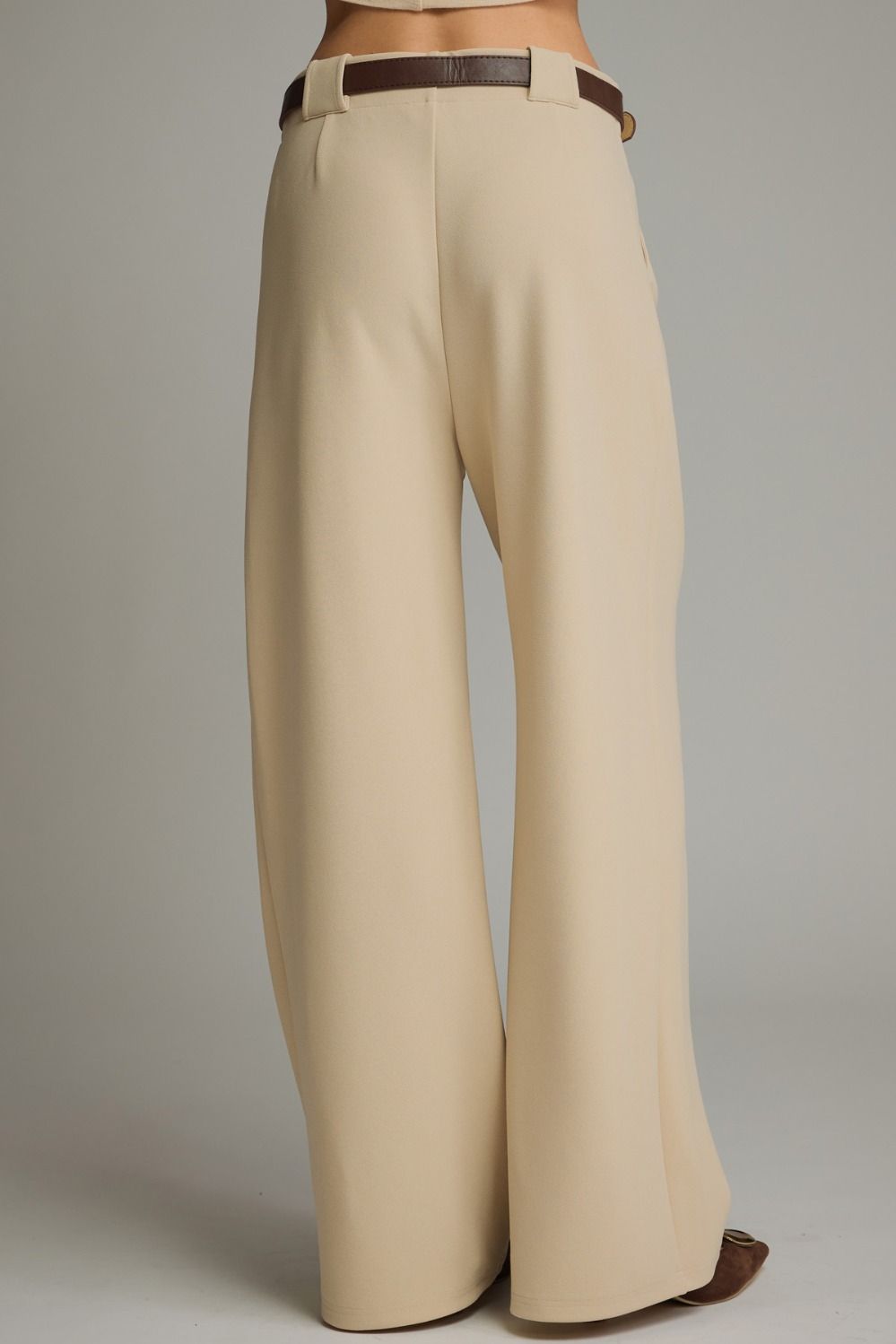 Pleated Wide Leg Tailored Pants