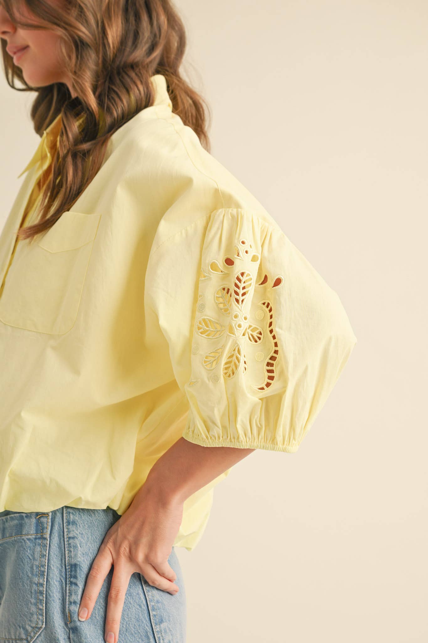 Embroidered Bubble Sleeve Blouse -